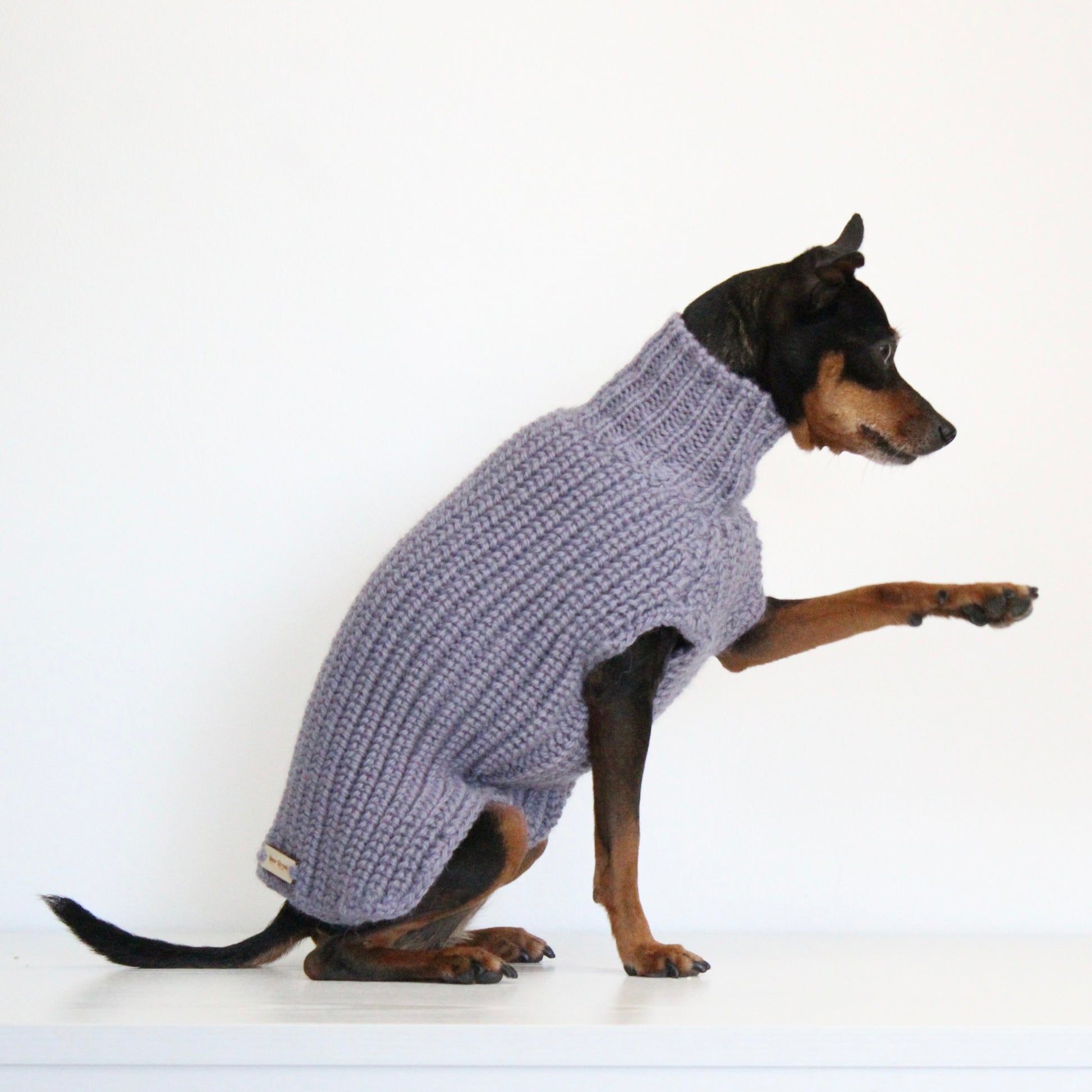 Small dog wearing a custom hand-knitted alpaca wool sweater 'MAYA' in grey lavender color, made to measure by Lana Royals Pet Wear.