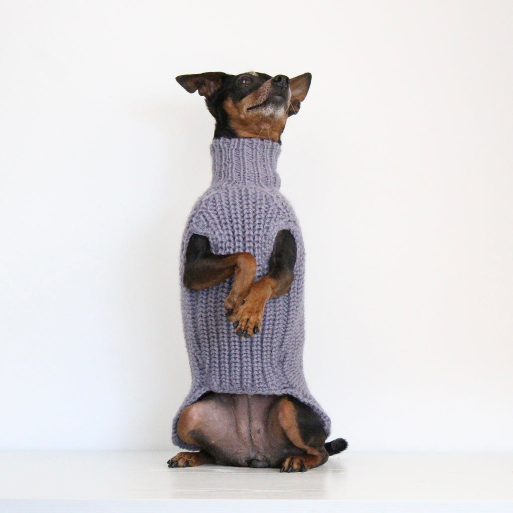 Small dog wearing a custom hand-knitted alpaca wool sweater 'MAYA' in grey lavender color, made to measure by Lana Royals Pet Wear.