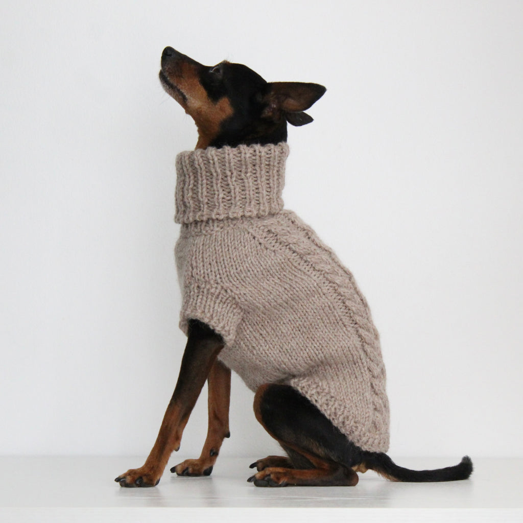 Miniature pinscher wearing a beige hand-knitted alpaca wool turtleneck sweater, custom-made to measure by Lana Royals Pet Wear. Showcasing from the left side.