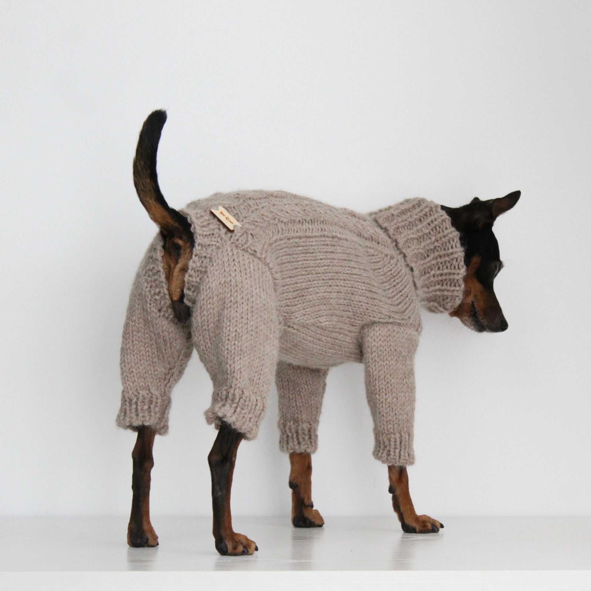 Miniature pinscher wearing a beige hand-knitted alpaca wool turtleneck sweater, custom-made to measure by Lana Royals Pet Wear. Showcasing from the back while standing.