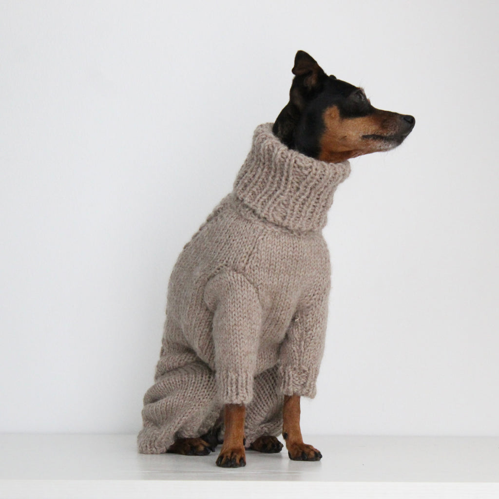 Miniature pinscher wearing a beige hand-knitted alpaca wool turtleneck jumpsuit onesie, custom-made to measure by Lana Royals Pet Wear. 