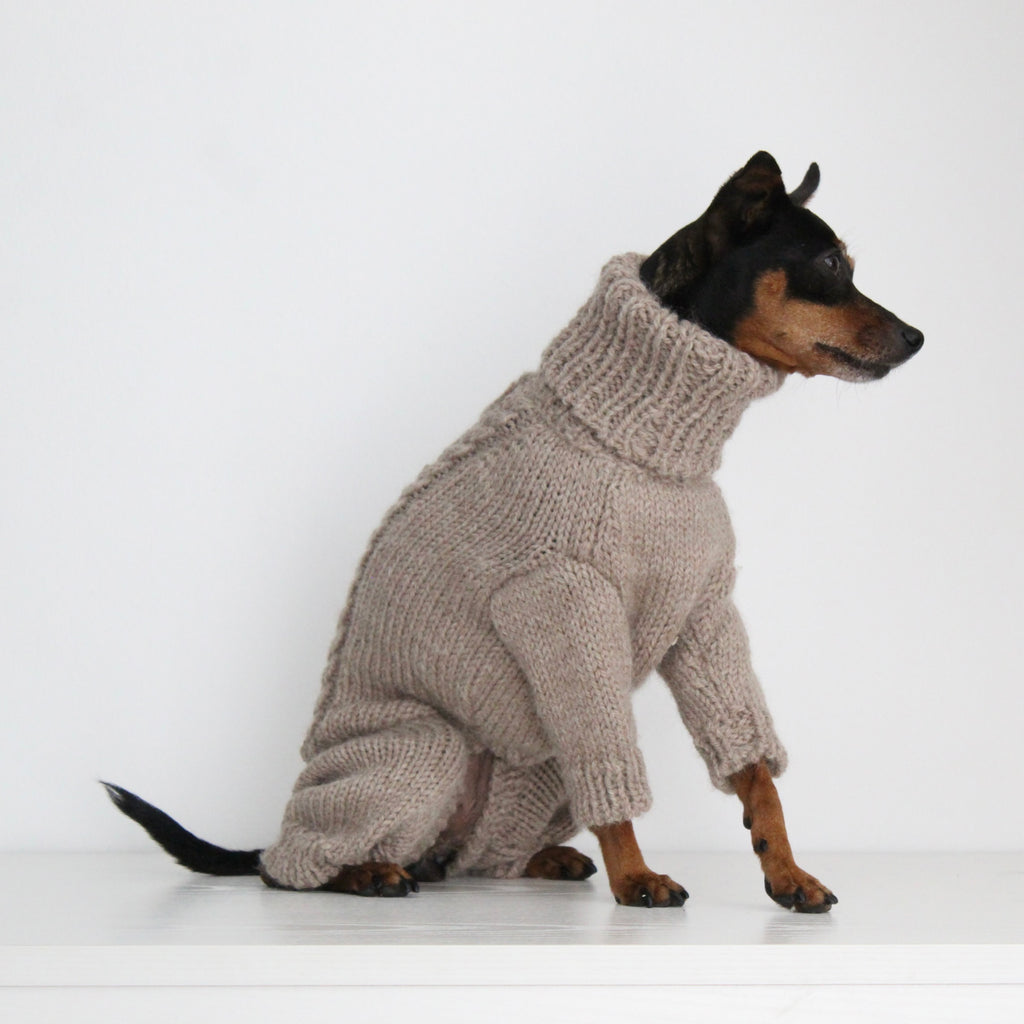 Miniature pinscher wearing a beige hand-knitted alpaca wool turtleneck jumpsuit onesie, custom-made to measure by Lana Royals Pet Wear. Showcasing from the right side.
