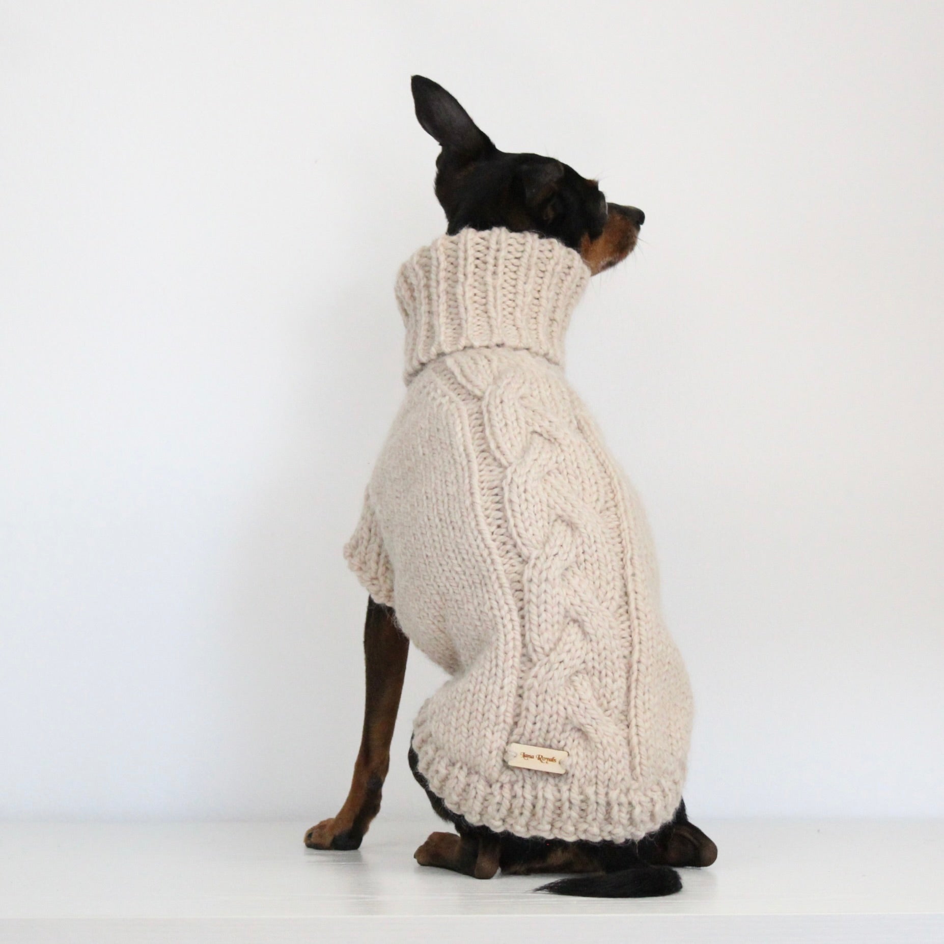 Miniature pinscher wearing a beige hand-knitted alpaca wool turtleneck sweater, custom-made to measure by Lana Royals Pet Wear. Showcasing the braid design on the back.