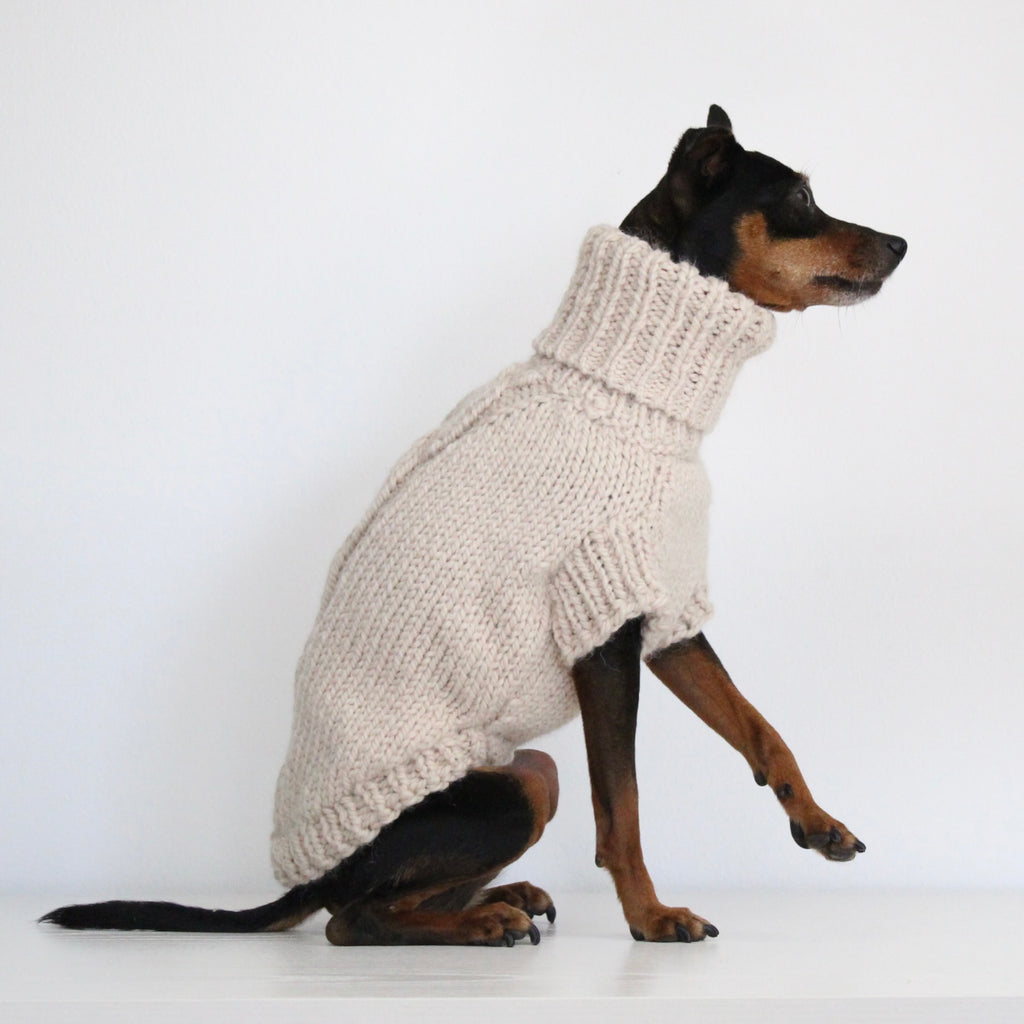 Miniature pinscher wearing a beige hand-knitted alpaca wool turtleneck sweater, custom-made to measure by Lana Royals Pet Wear. Showcasing from the right side.