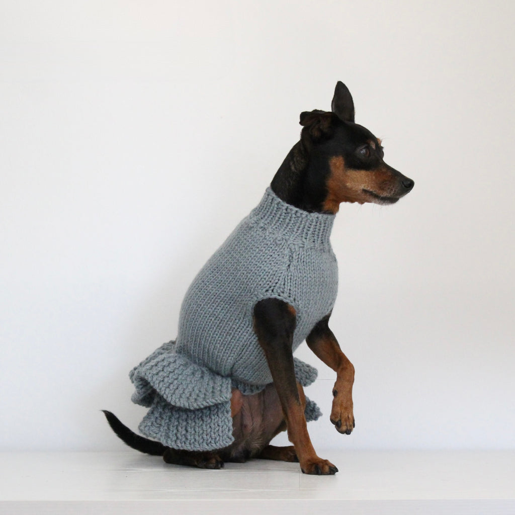 Miniature pinscher wearing a hand-knitted alpaca wool turtleneck sweater in grey blue sage smoke color, custom-made to measure by Lana Royals Pet Wear. 