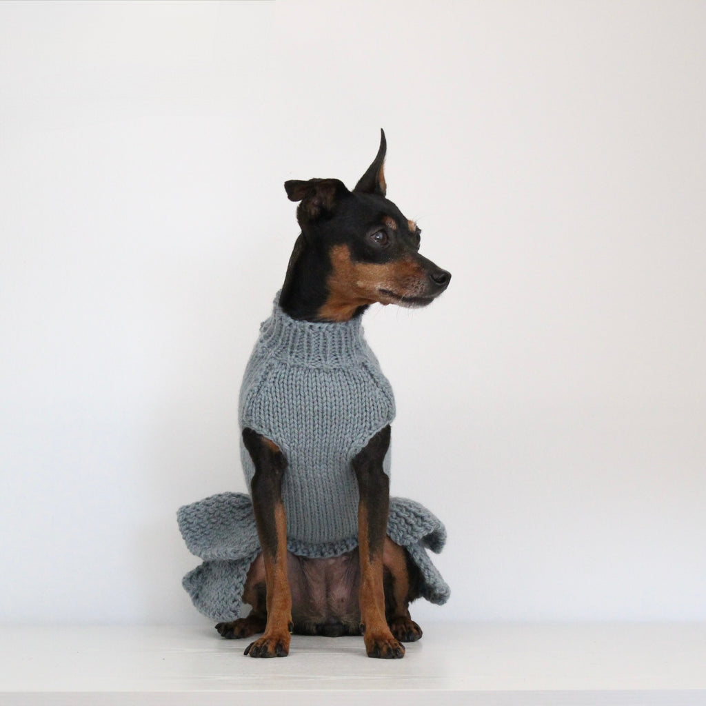 Miniature pinscher wearing a hand-knitted alpaca wool turtleneck sweater in grey blue sage smoke color, custom-made to measure by Lana Royals Pet Wear. 