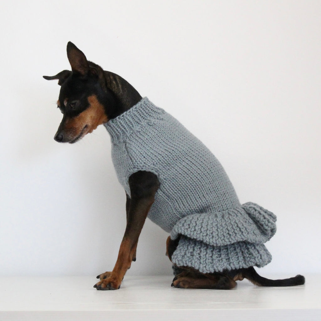 Miniature pinscher wearing a hand-knitted alpaca wool turtleneck sweater in grey blue sage smoke color, custom-made to measure by Lana Royals Pet Wear. 