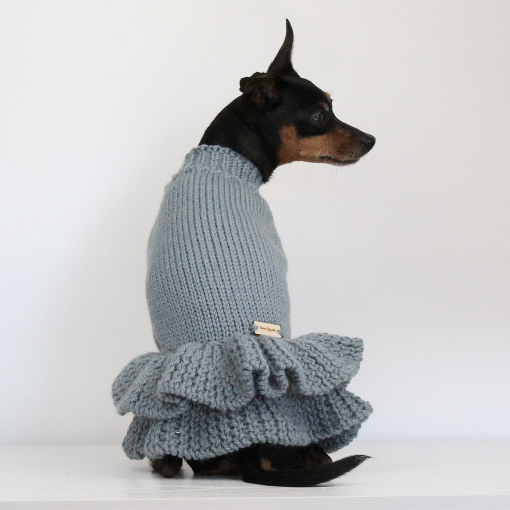 Miniature pinscher wearing a hand-knitted alpaca wool turtleneck sweater in grey blue sage smoke color, custom-made to measure by Lana Royals Pet Wear. Showcasing from the back.