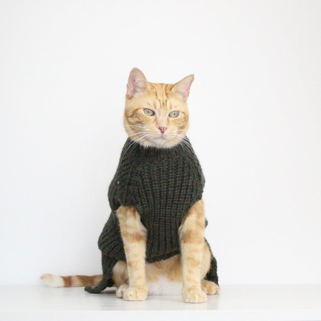 Ginger cat wearing a hand-knitted alpaca wool sweater in dark green color, custom-made to measure by Lana Royals Pet Wear. 