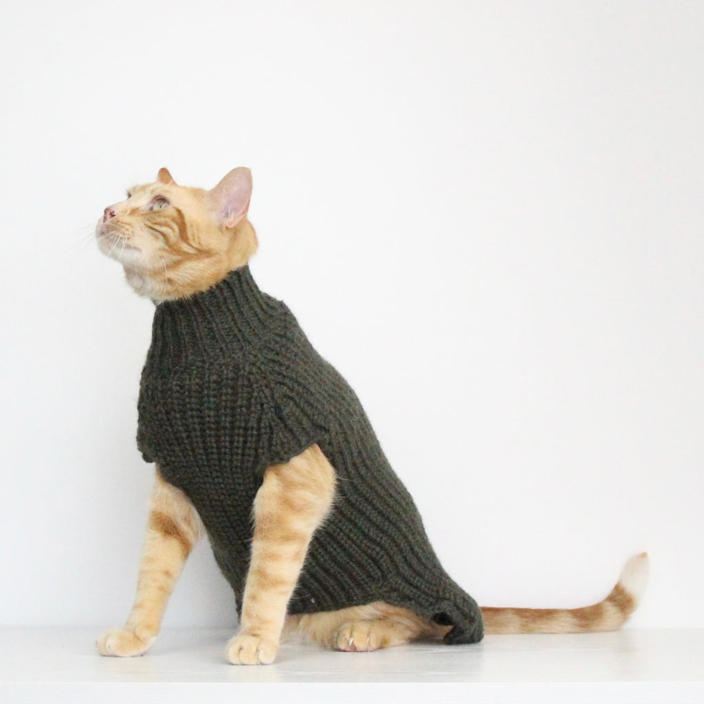 Ginger cat wearing a hand-knitted alpaca wool sweater in dark green color, custom-made to measure by Lana Royals Pet Wear. 