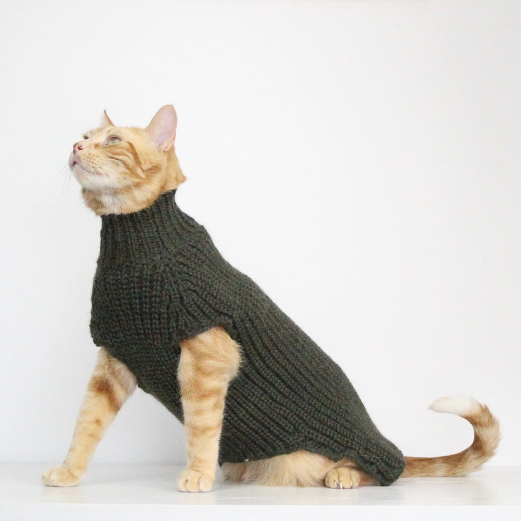 Ginger cat wearing a hand-knitted alpaca wool sweater in dark green color, custom-made to measure by Lana Royals Pet Wear. 