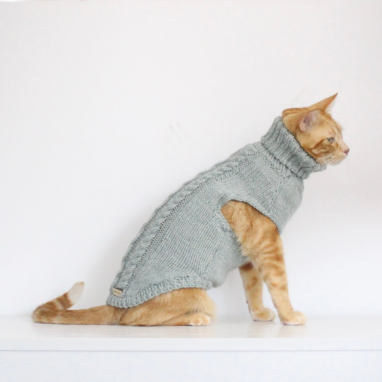 Ginger cat wearing a hand-knitted alpaca wool turtleneck sweater in soft mint color, custom-made to measure by Lana Royals Pet Wear.