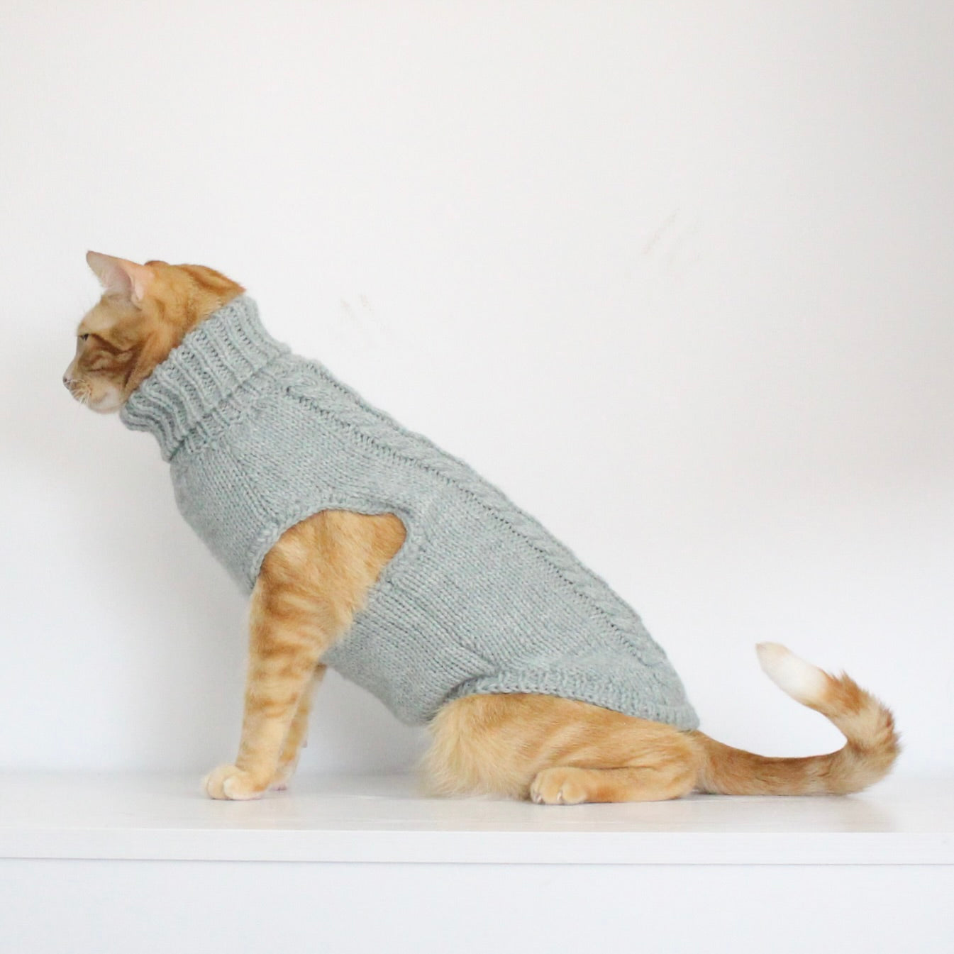 Ginger cat wearing a hand-knitted alpaca wool turtleneck sweater in soft mint color, custom-made to measure by Lana Royals Pet Wear.