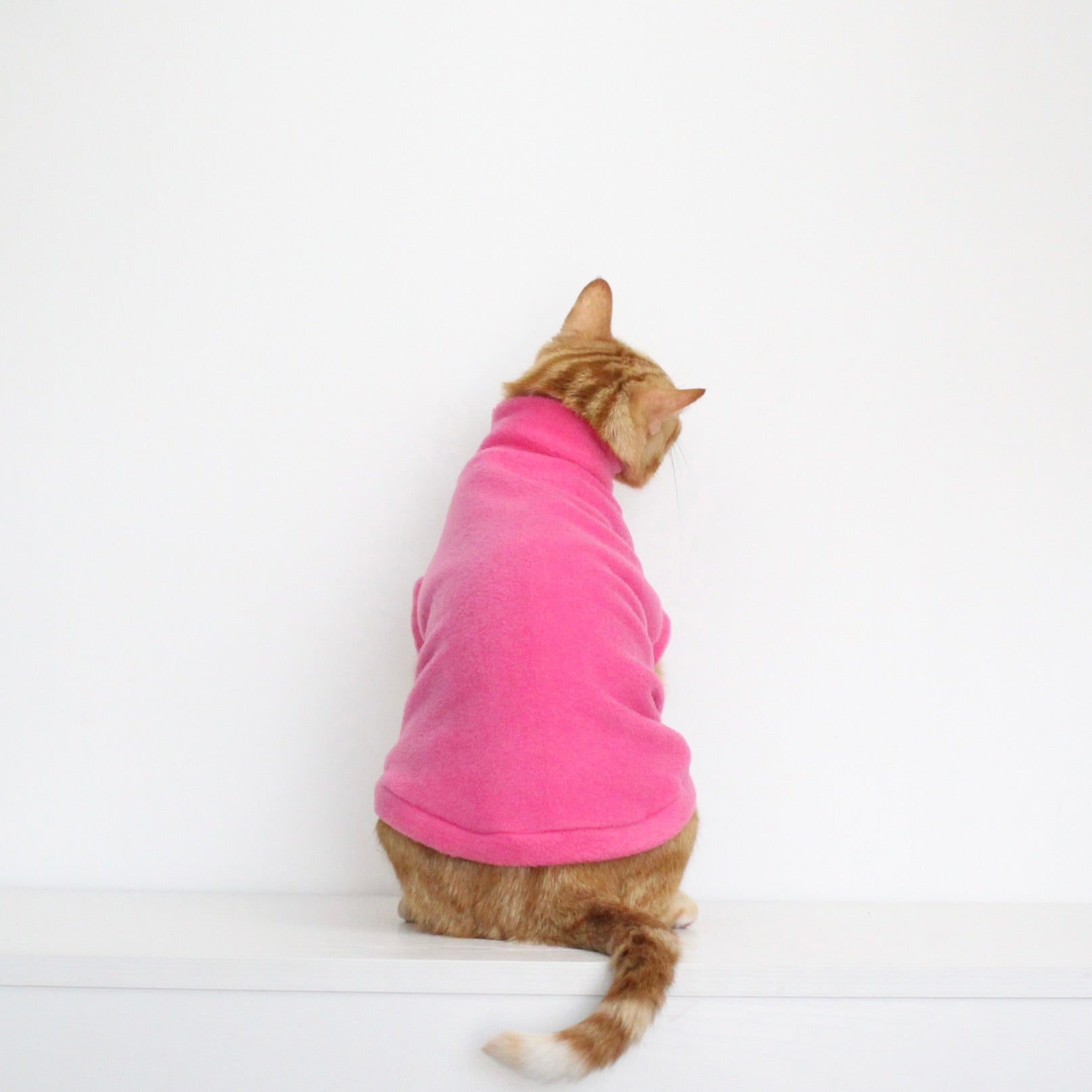 Ginger cat wearing a handmade fleece sleeveless tank-top vest in hot pink color, custom-tailored to measure by Lana Royals Pet Wear.