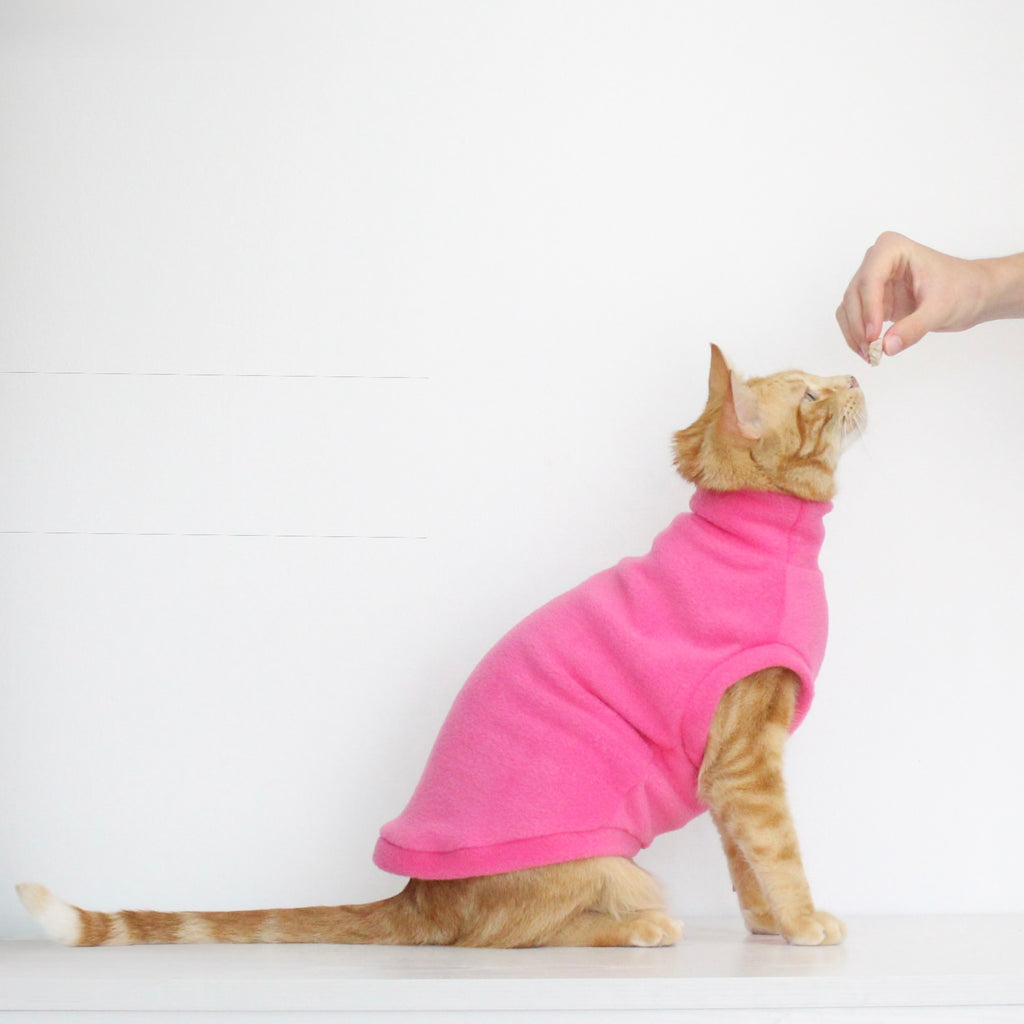 Ginger cat wearing a handmade fleece sleeveless tank-top vest in hot pink color, custom-tailored to measure by Lana Royals Pet Wear.