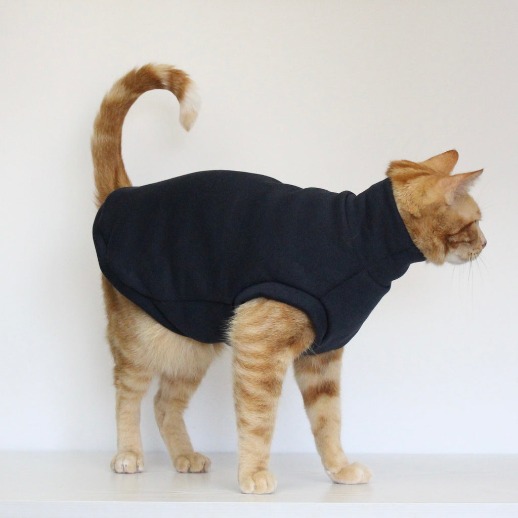 Ginger cat wearing a handmade dark navy blue cotton sweatshirt, custom-tailored to measure by Lana Royals Pet Wear.