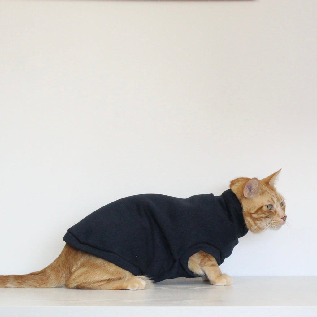 Ginger cat wearing a handmade dark navy blue cotton sweatshirt, custom-tailored to measure by Lana Royals Pet Wear.