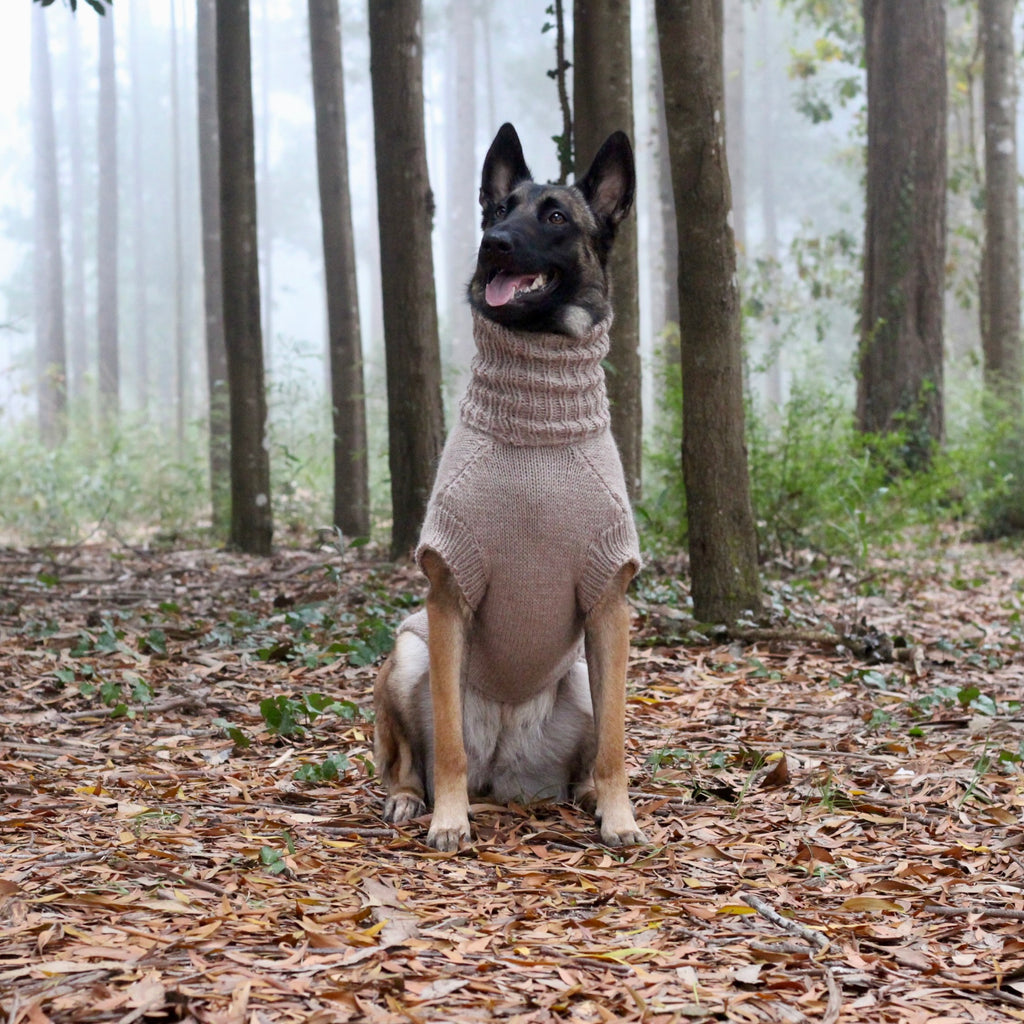 Belgian Shepherd Malinois wearing handmade knitted alpaca wool 'PRIMUS' sweater for large dogs in beige color, custom-tailored to measure by Lana Royals Pet Wear.