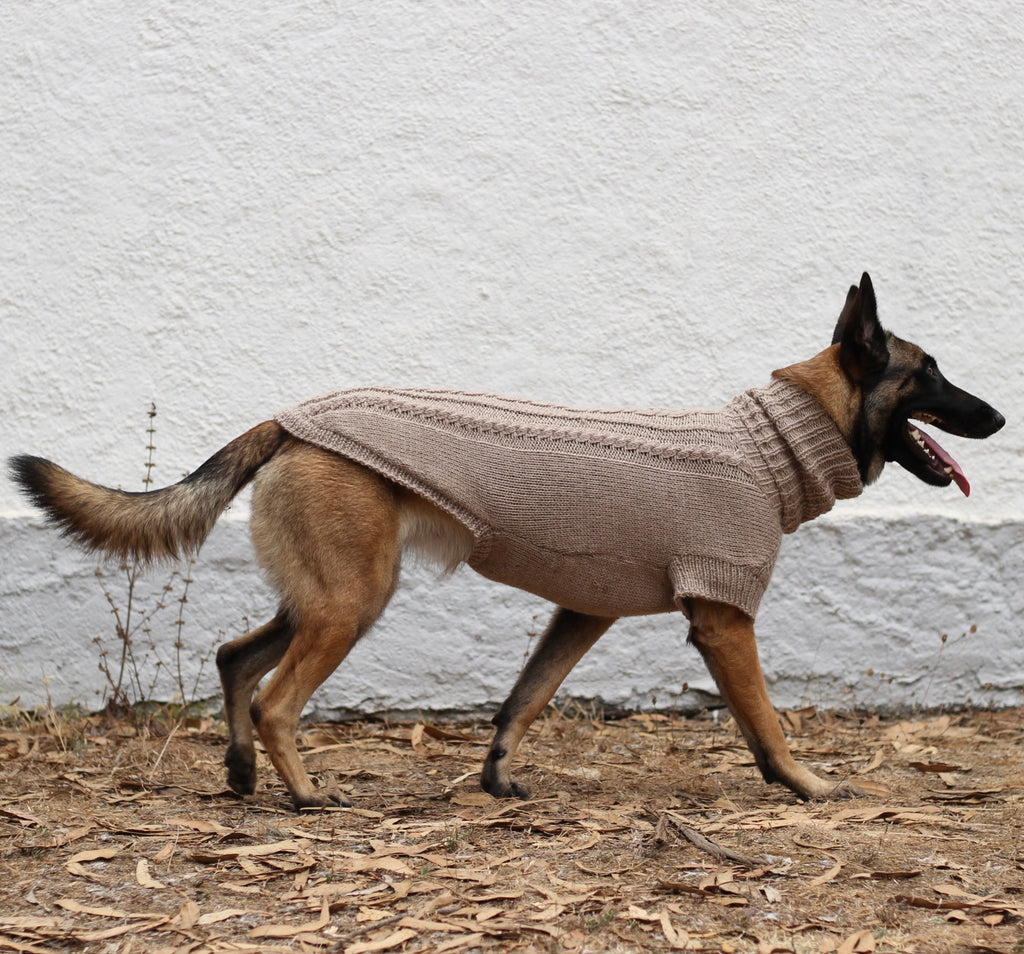 Belgian Shepherd Malinois wearing handmade knitted alpaca wool 'PRIMUS' sweater for large dogs in beige color, custom-tailored to measure by Lana Royals Pet Wear.