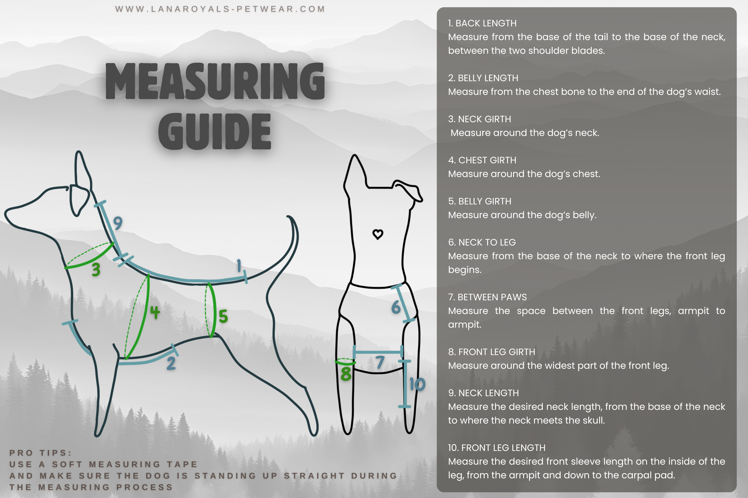 Dog measuring guide with illustrations and text, from Lana Royals Pet Wear.