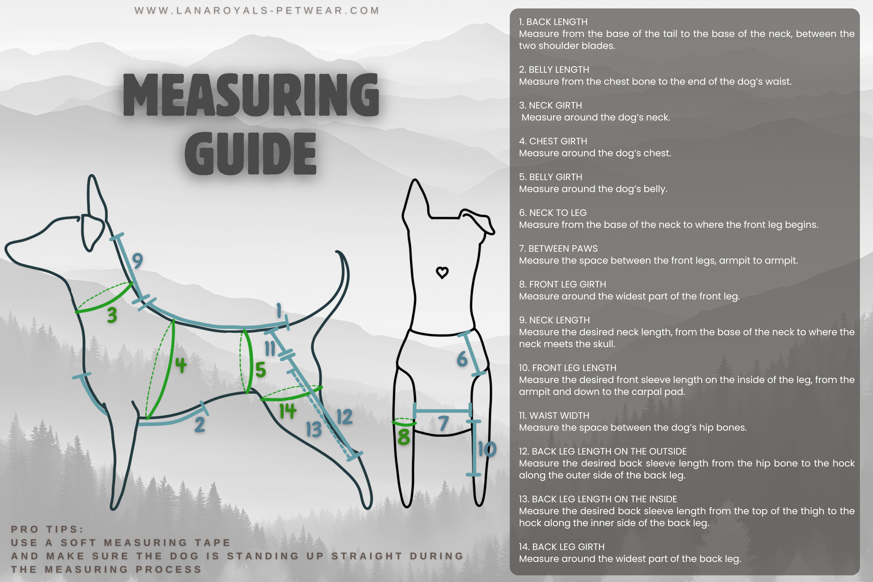 Dog measuring guide with illustrations and text, from Lana Royals Pet Wear.