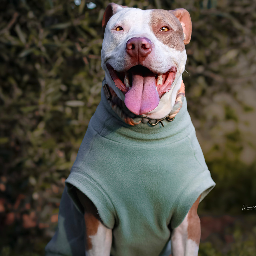 Fleece Sleeveless Tank-Top Vest for Dogs | Custom-Tailored, Made to Measure