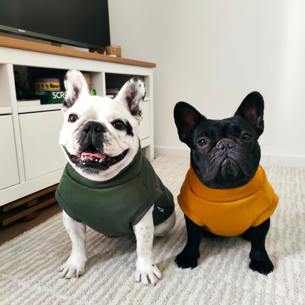 Sweatshirt Sleeveless Tank-Top Vest for Dogs | Custom-Tailored, Made to Measure