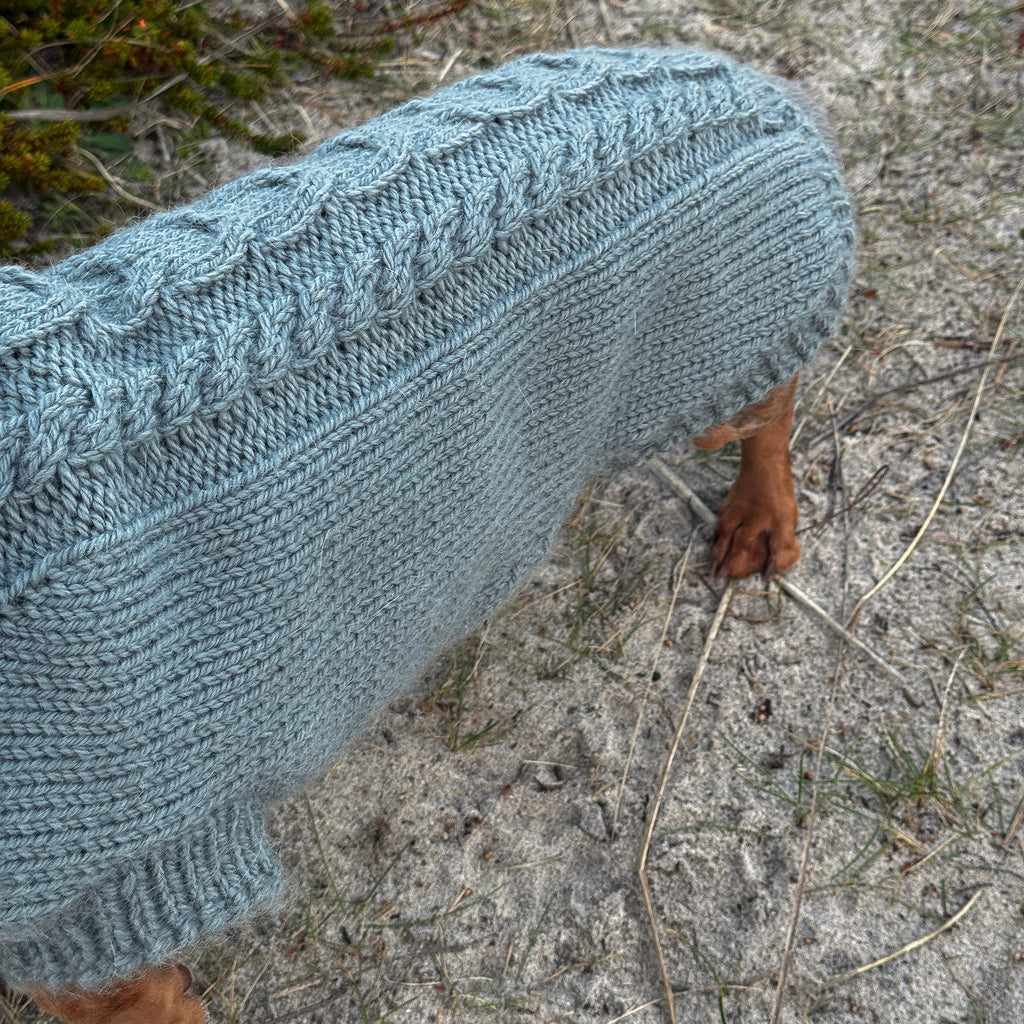 PRIMUS Hand-Knitted Alpaca Wool Turtleneck Sweater for Small Dogs | Custom-Tailored, Made to Measure