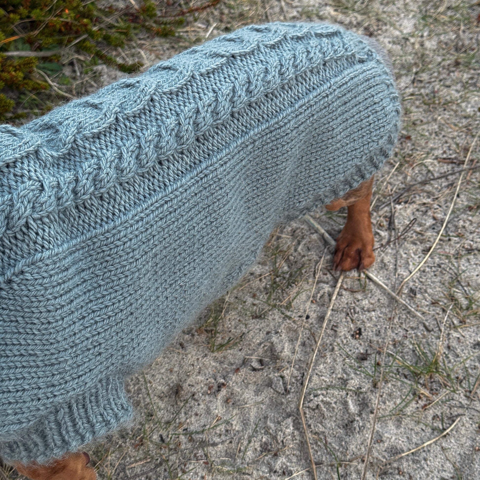 PRIMUS Hand-Knitted Alpaca Wool Turtleneck Sweater for Small Dogs | Custom-Tailored, Made to Measure