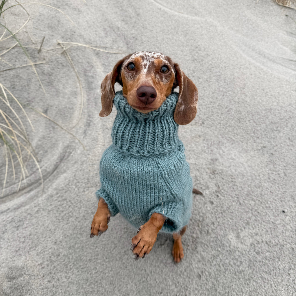 PRIMUS Hand-Knitted Alpaca Wool Turtleneck Sweater for Small Dogs | Custom-Tailored, Made to Measure