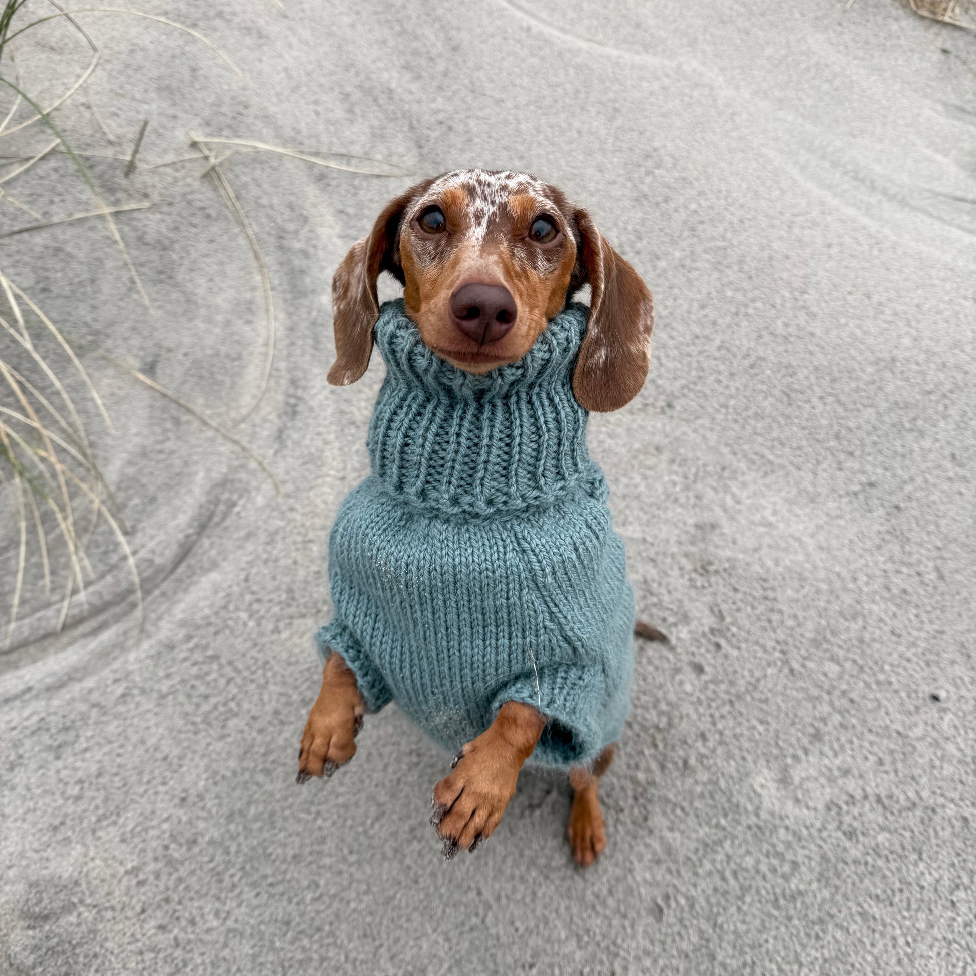 PRIMUS Hand-Knitted Alpaca Wool Turtleneck Sweater for Small Dogs | Custom-Tailored, Made to Measure