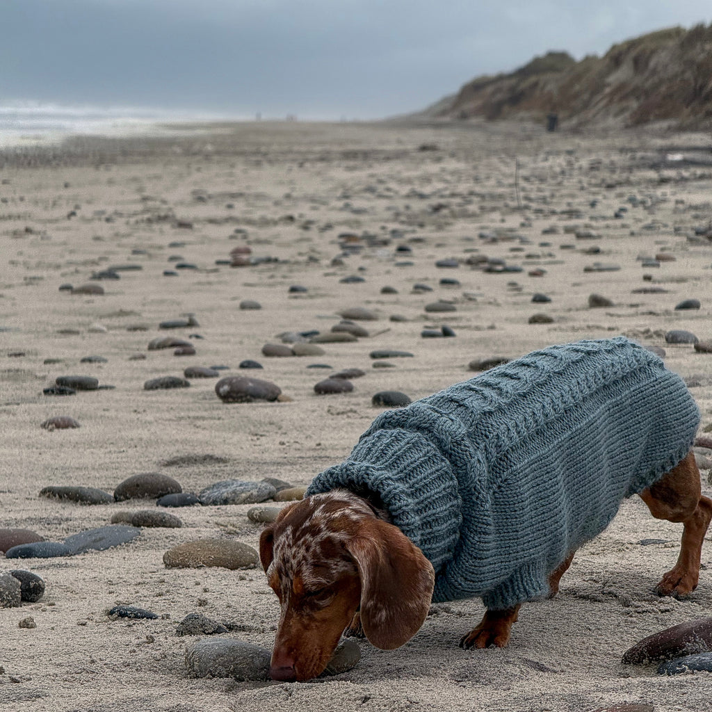 PRIMUS Hand-Knitted Alpaca Wool Turtleneck Sweater for Small Dogs | Custom-Tailored, Made to Measure