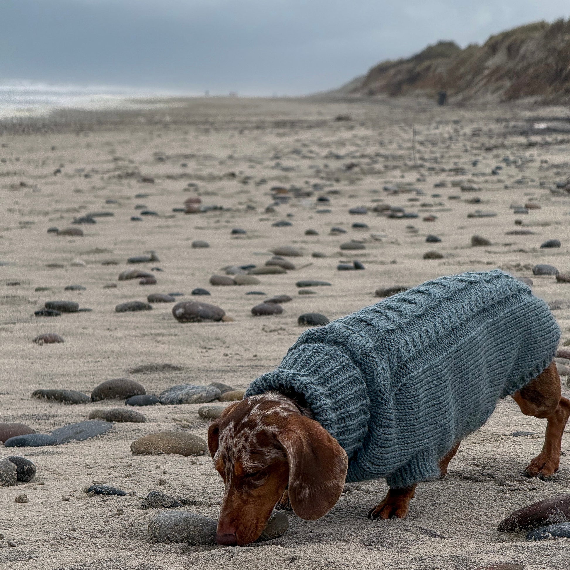 PRIMUS Hand-Knitted Alpaca Wool Turtleneck Sweater for Small Dogs | Custom-Tailored, Made to Measure