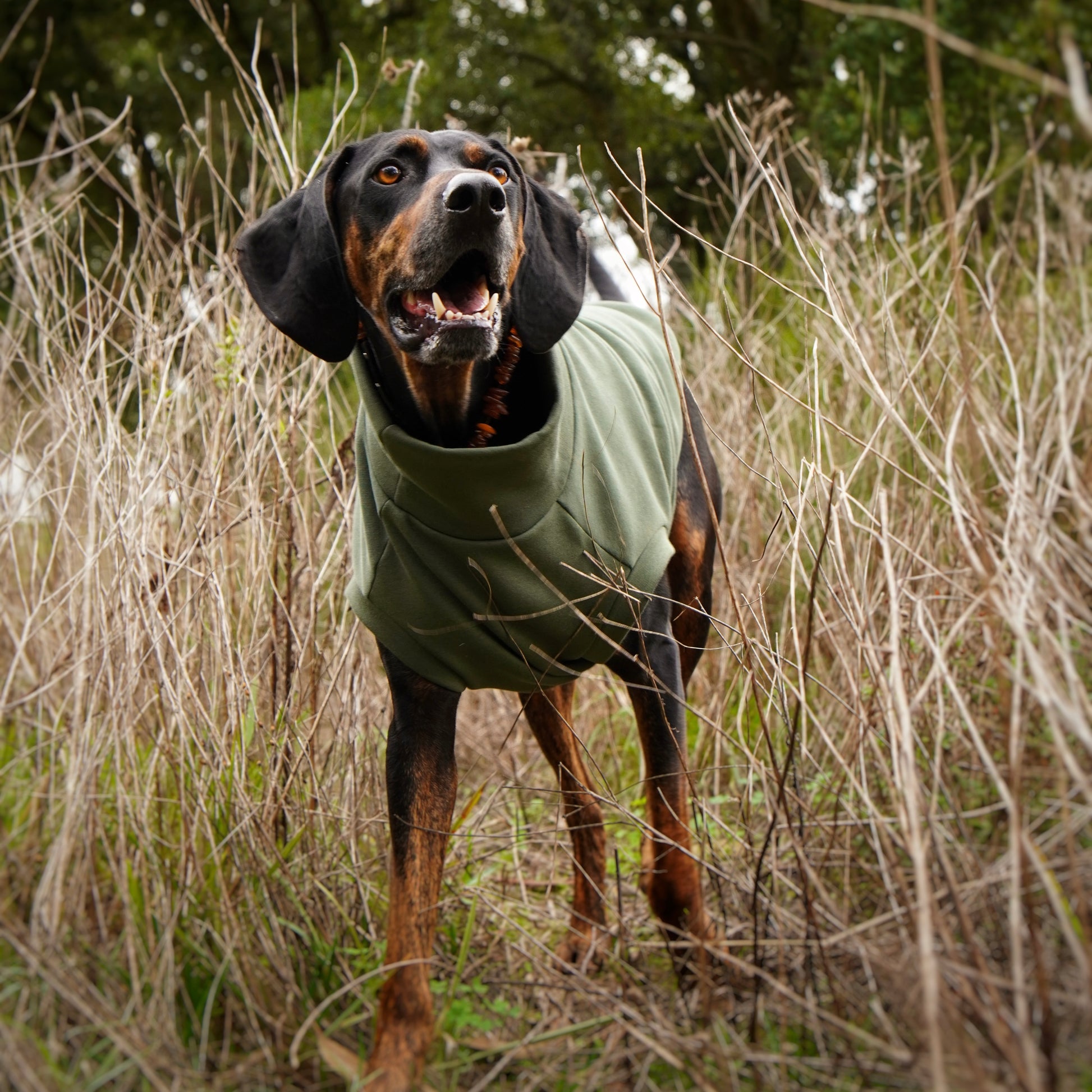 Sweatshirt Sleeveless Tank-Top Vest for Dogs | Custom-Tailored, Made to Measure