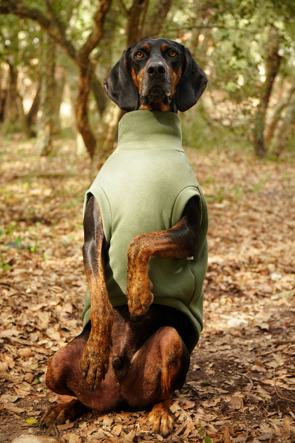 Sweatshirt Sleeveless Tank-Top Vest for Dogs | Custom-Tailored, Made to Measure