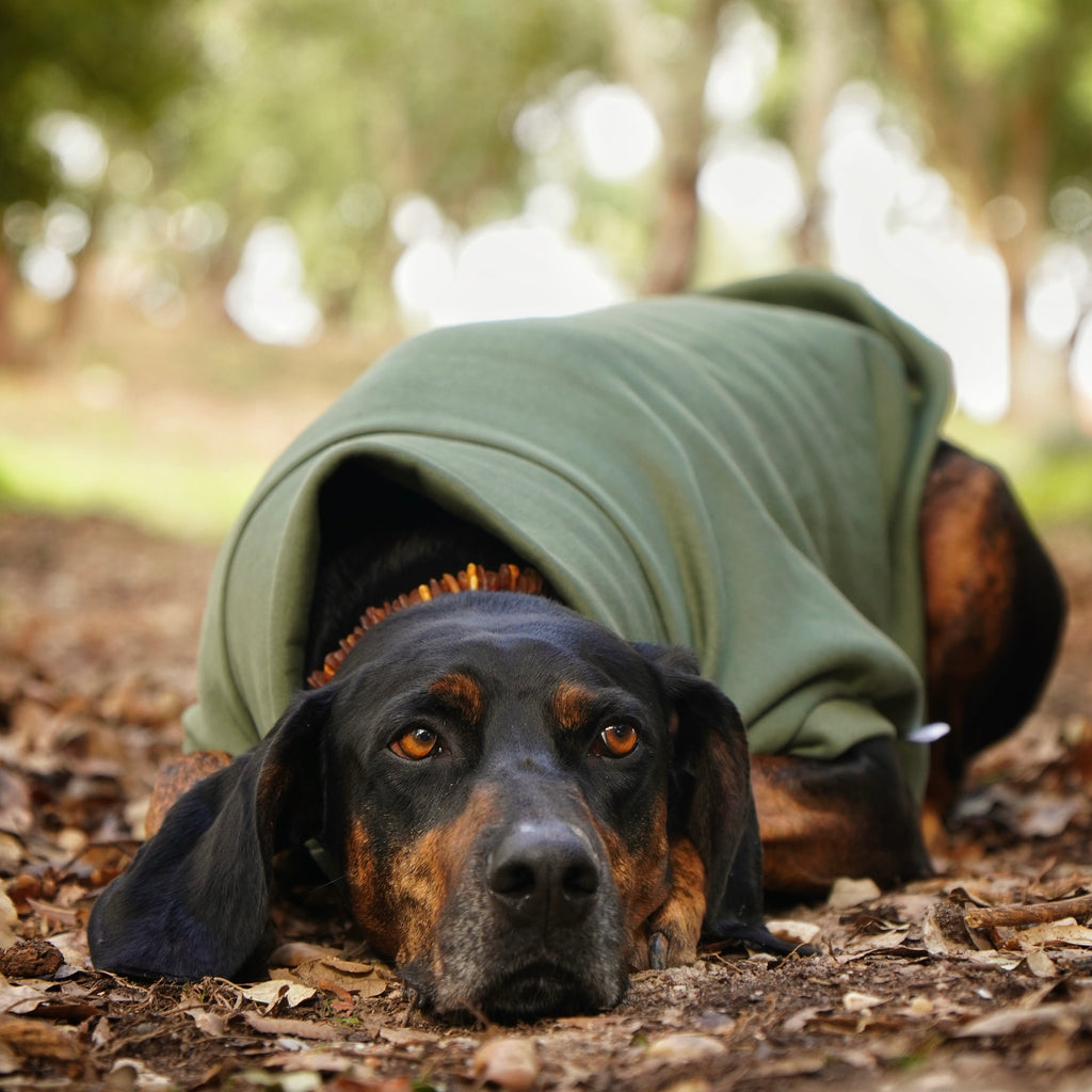 Sweatshirt Sleeveless Tank-Top Vest for Dogs | Custom-Tailored, Made to Measure