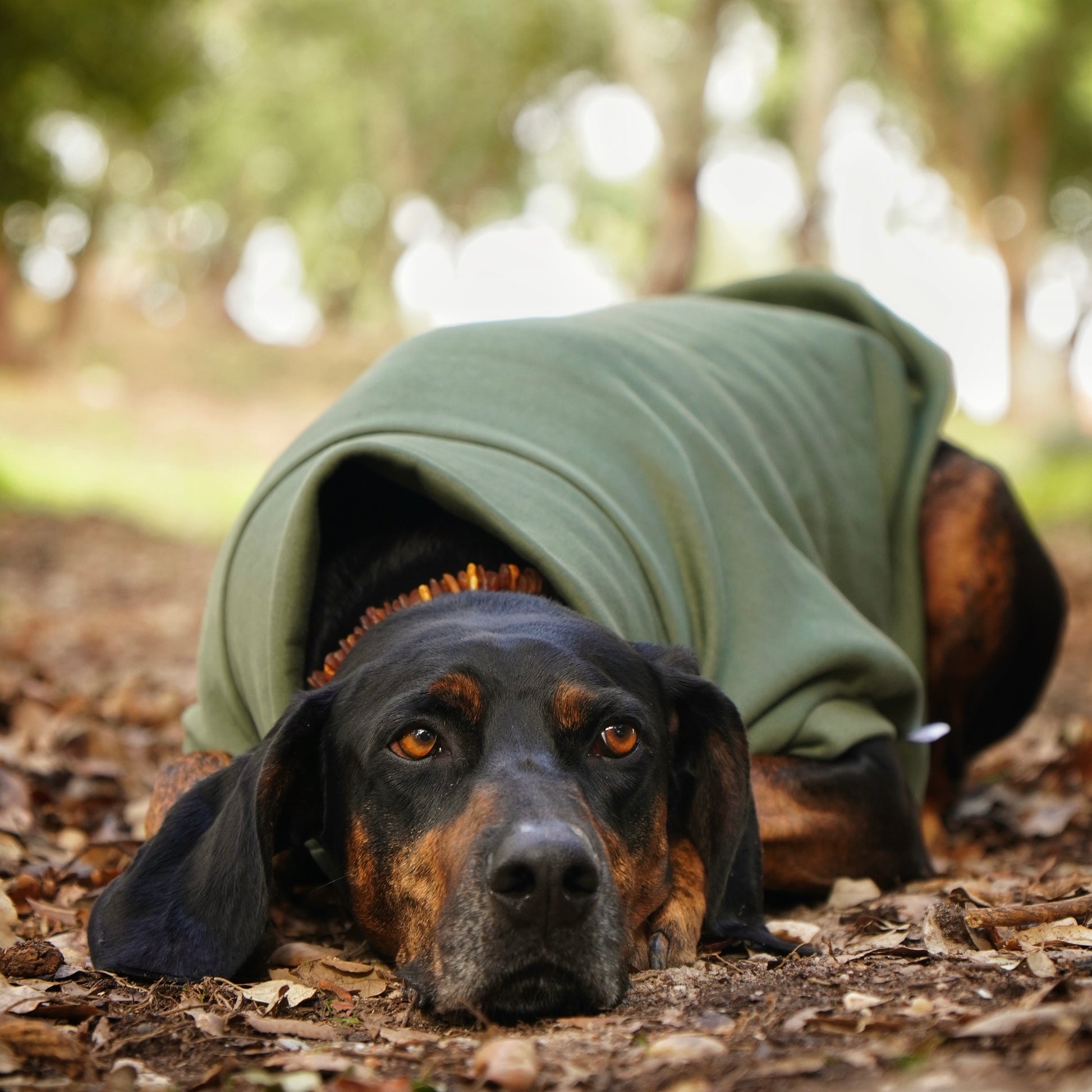 Sweatshirt Sleeveless Tank-Top Vest for Dogs | Custom-Tailored, Made to Measure