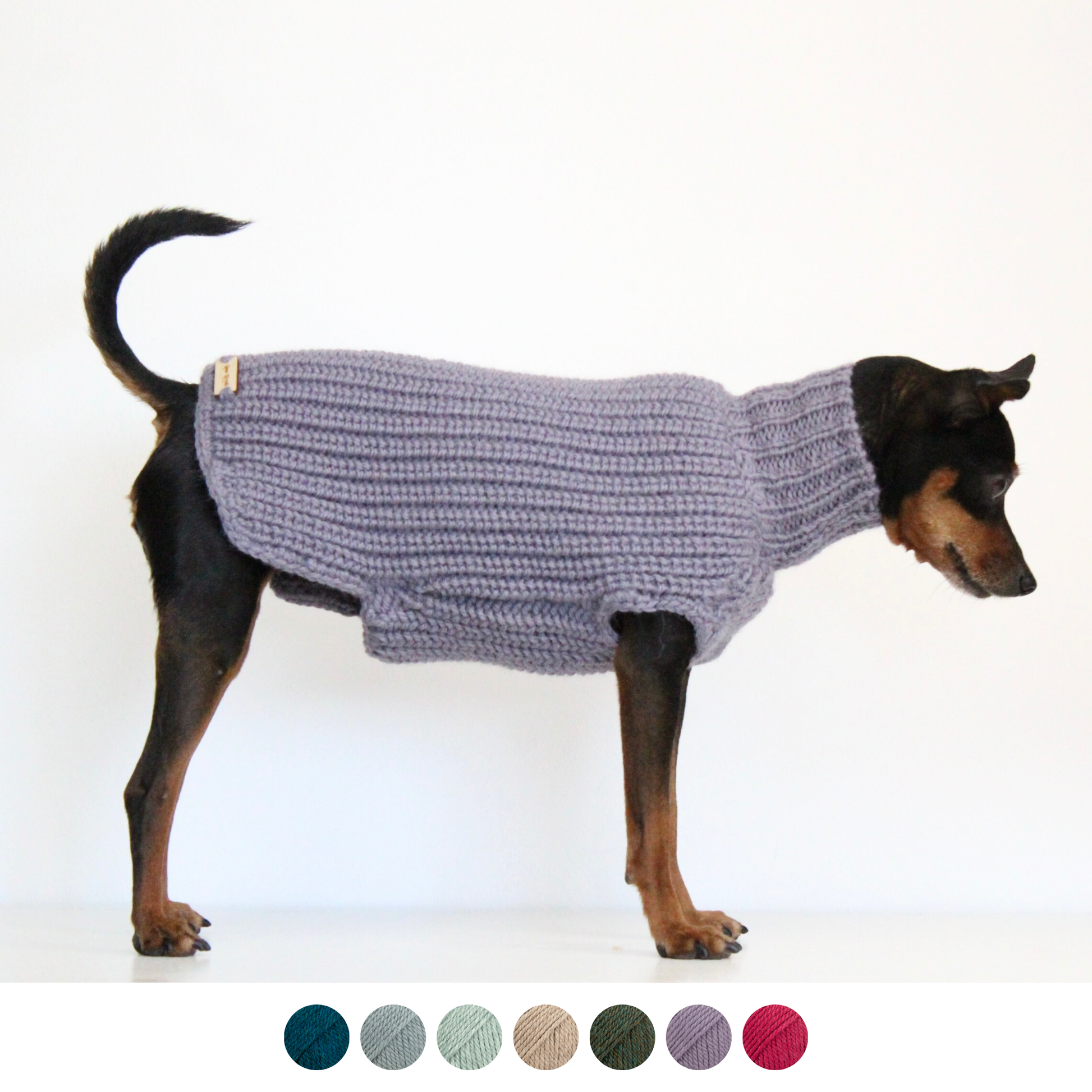 Miniature pinscher wearing a hand-knitted alpaca wool sweater in smoke lavender color, custom-tailored to measure by Lana Royals Pet Wear.