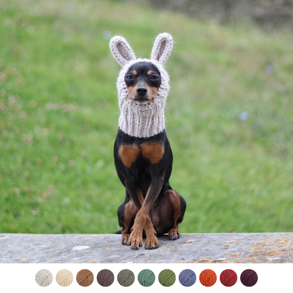 Miniature Pinscher Prague Ratter dog wearing handmade knitted thick alpaca wool snood with bunny ears. Custom-tailored to measure by Lana Royals Pet Wear.