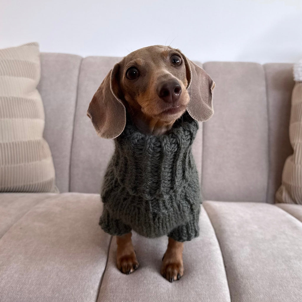 ARCTIC Hand-Knitted Alpaca Wool Turtleneck Sweater for Small Dogs | Custom-Tailored, Made to Measure