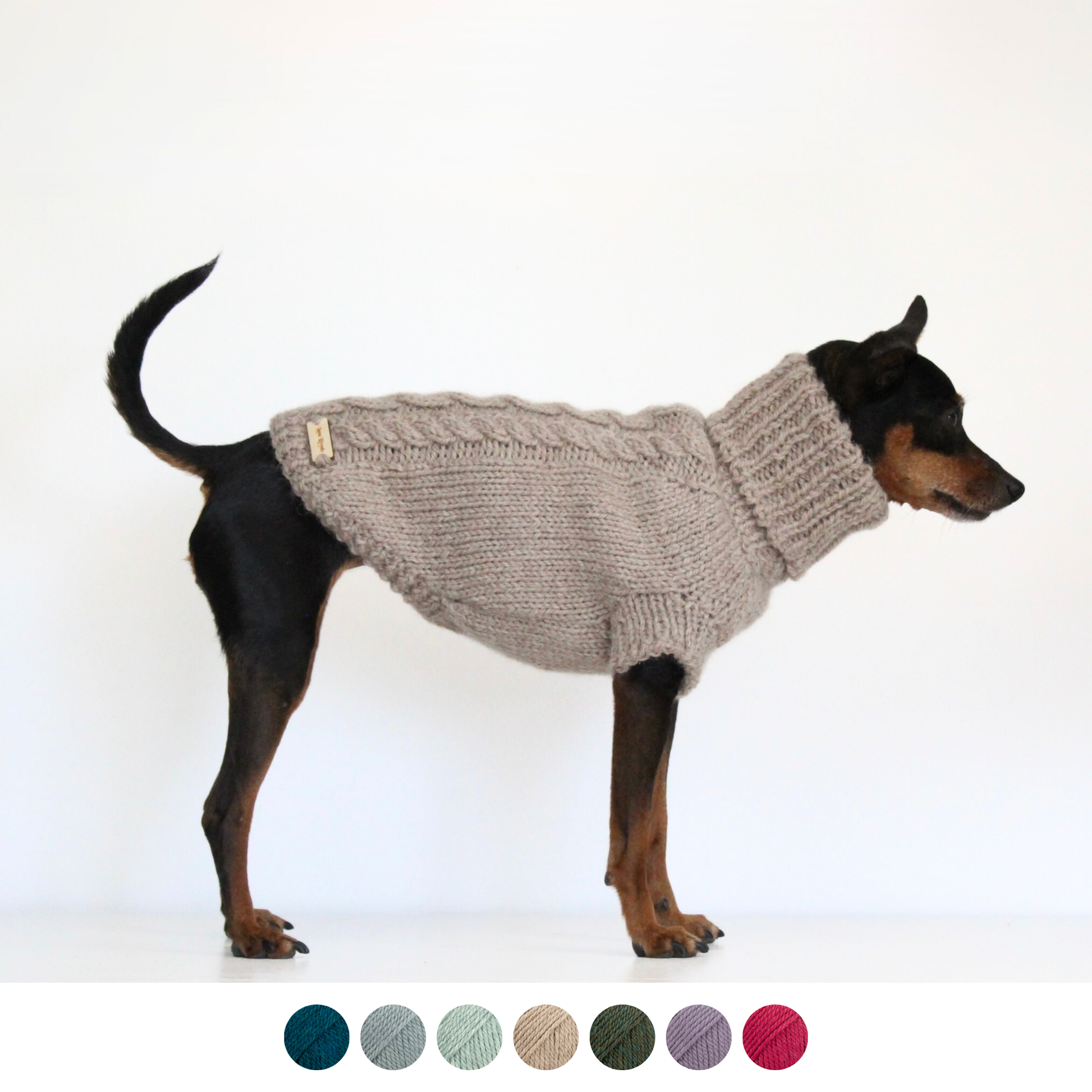 Miniature pinscher dog wearing hand-knitted alpaca wool turtleneck sweater in beige color, custom-tailored to measure by Lana Royals Pet Wear.