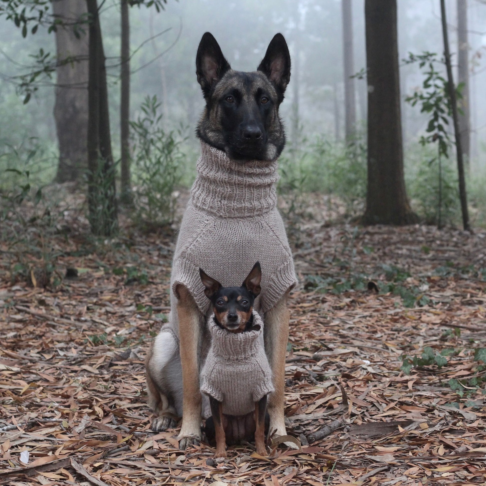 PRIMUS Hand-Knitted Alpaca Wool Turtleneck Sweater for Small Dogs | Custom-Tailored, Made to Measure