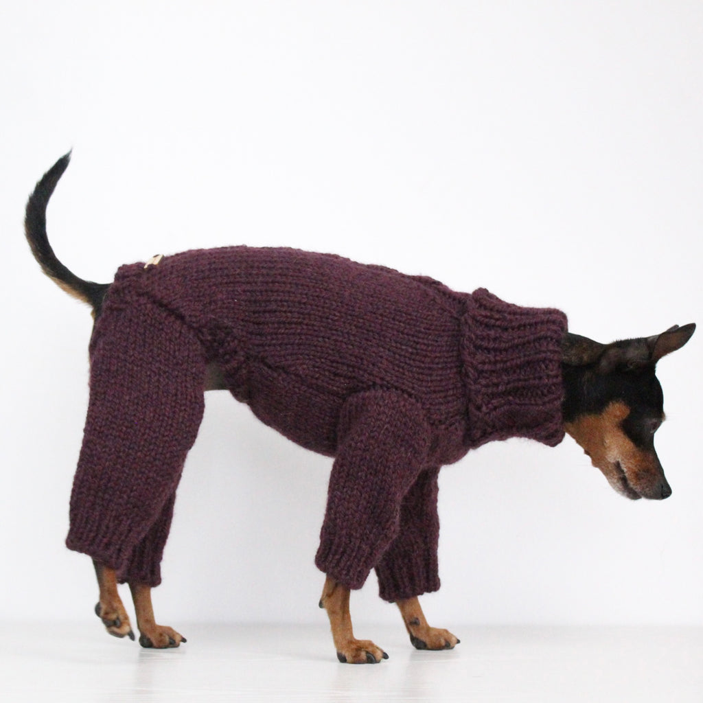 ARCTIC Overall Hand-Knitted Alpaca Wool Turtleneck Sweater for Small Dogs | Custom-Tailored, Made to Measure