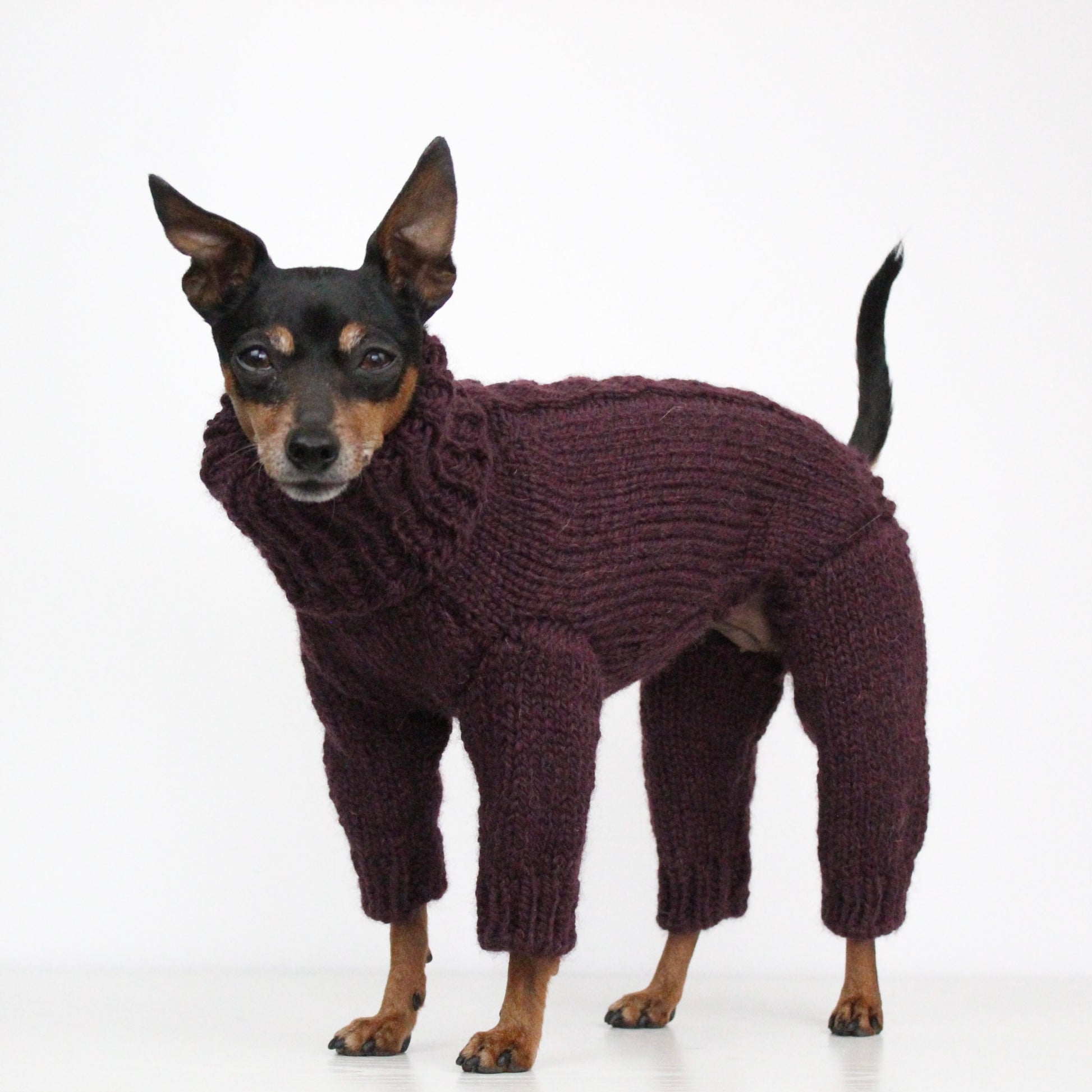 ARCTIC Overall Hand-Knitted Alpaca Wool Turtleneck Sweater for Small Dogs | Custom-Tailored, Made to Measure