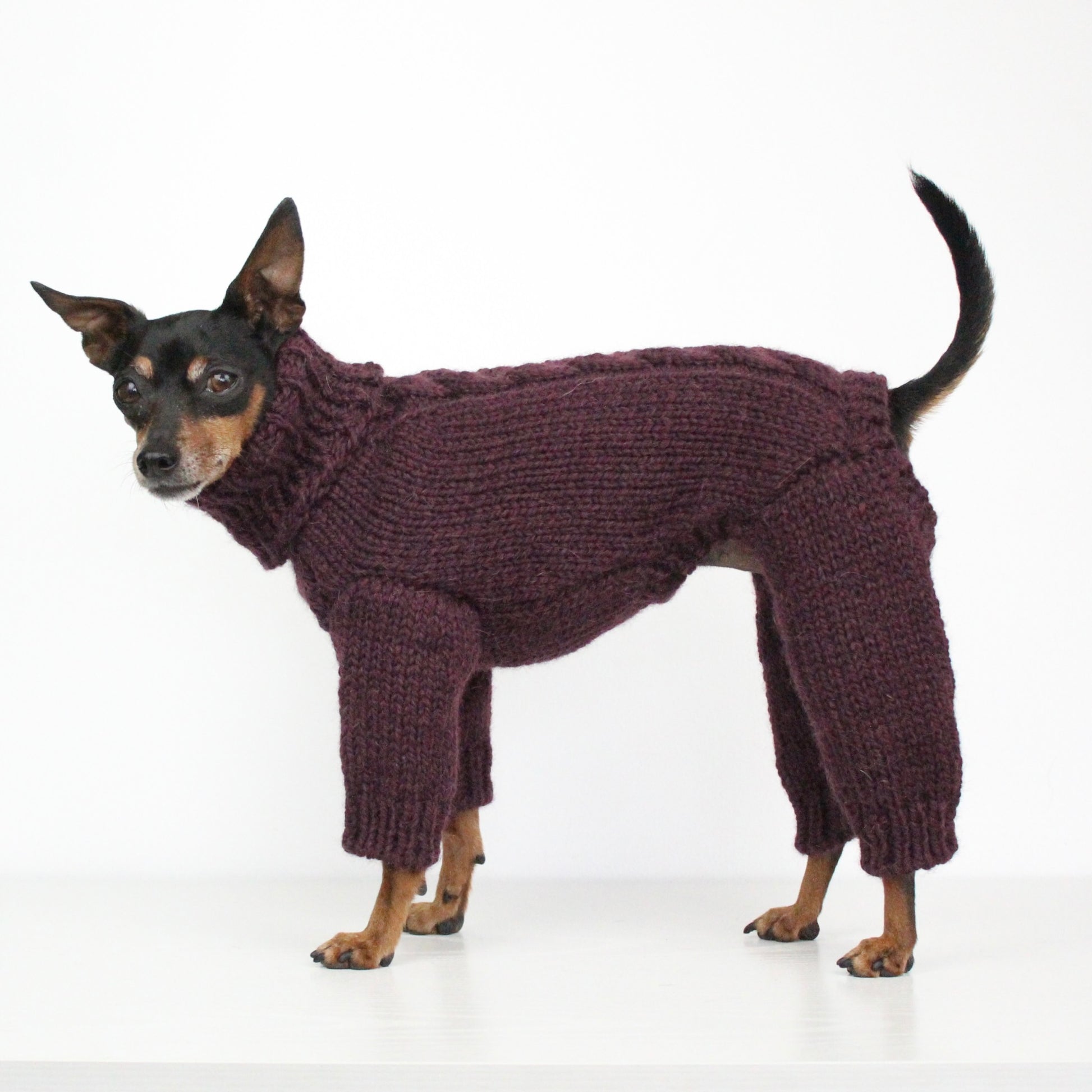 ARCTIC Overall Hand-Knitted Alpaca Wool Turtleneck Sweater for Small Dogs | Custom-Tailored, Made to Measure
