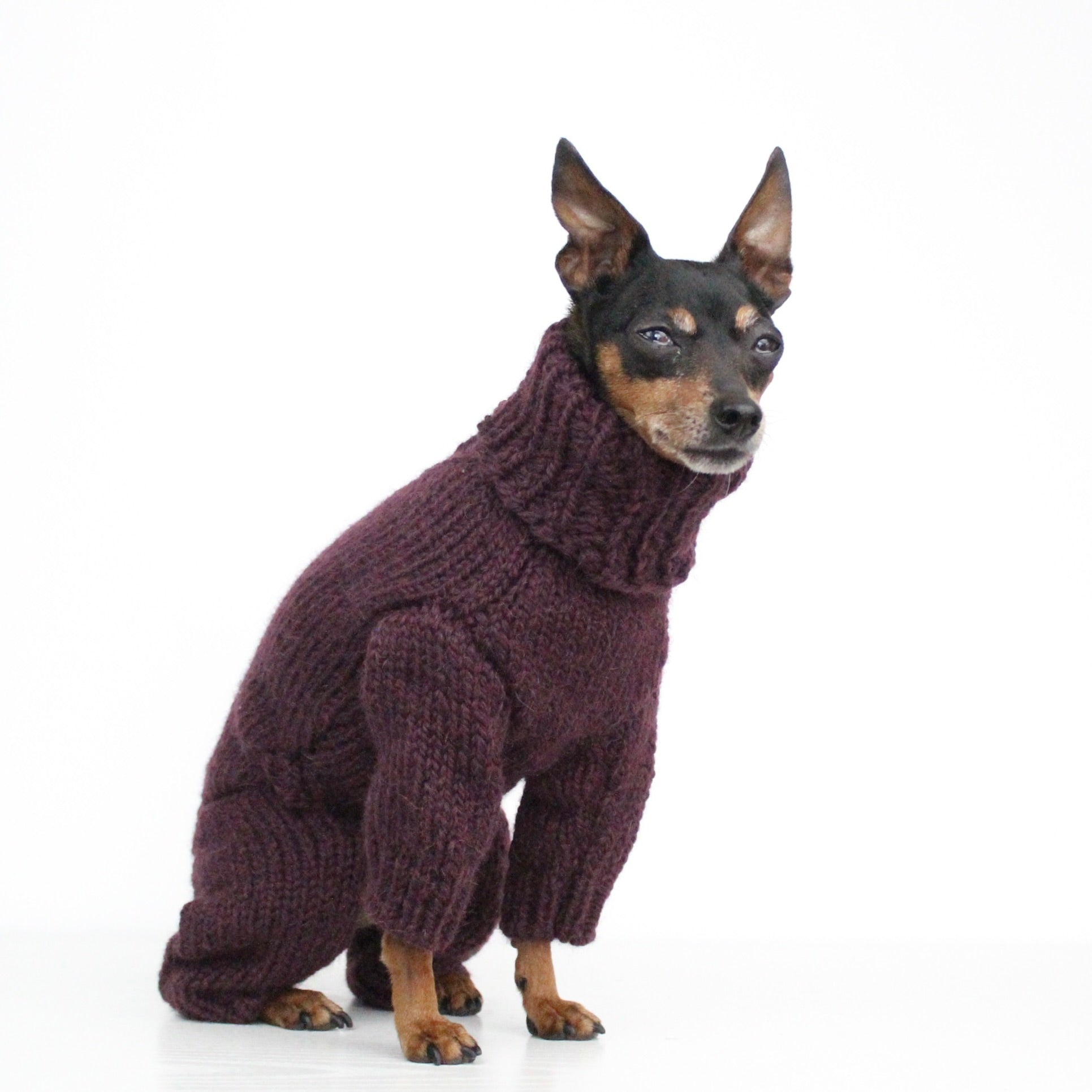 ARCTIC Overall Hand-Knitted Alpaca Wool Turtleneck Sweater for Small Dogs | Custom-Tailored, Made to Measure