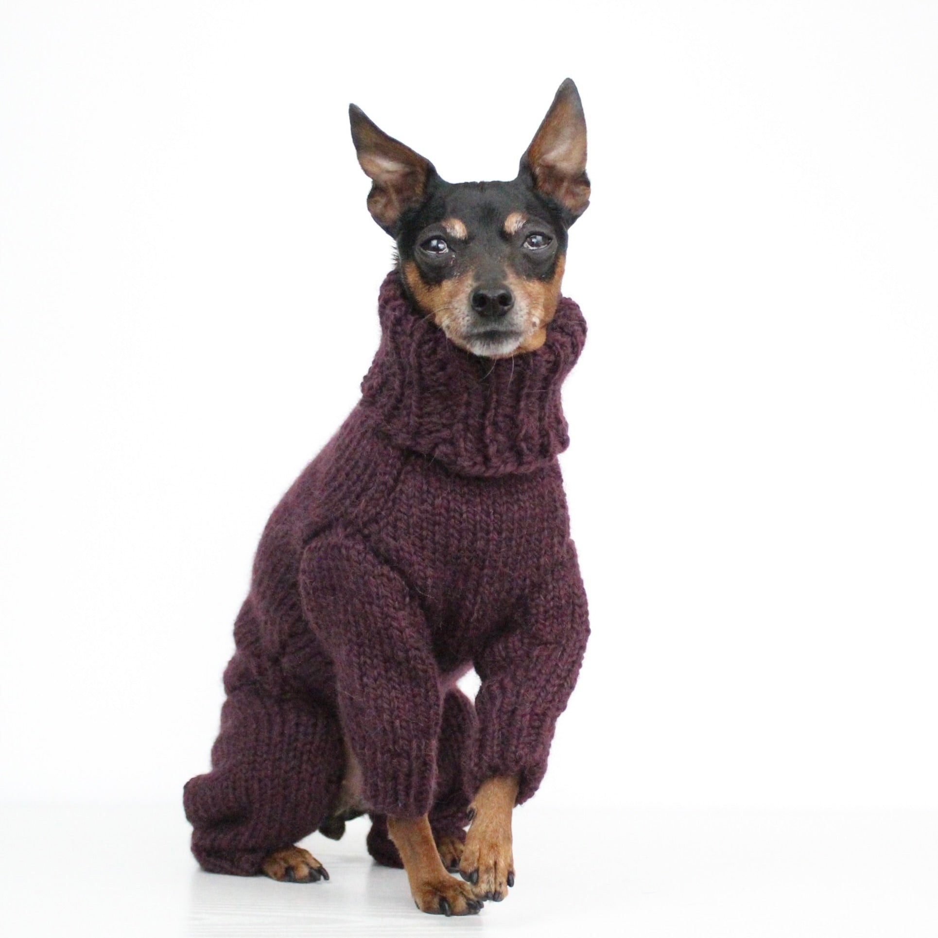 ARCTIC Overall Hand-Knitted Alpaca Wool Turtleneck Sweater for Small Dogs | Custom-Tailored, Made to Measure