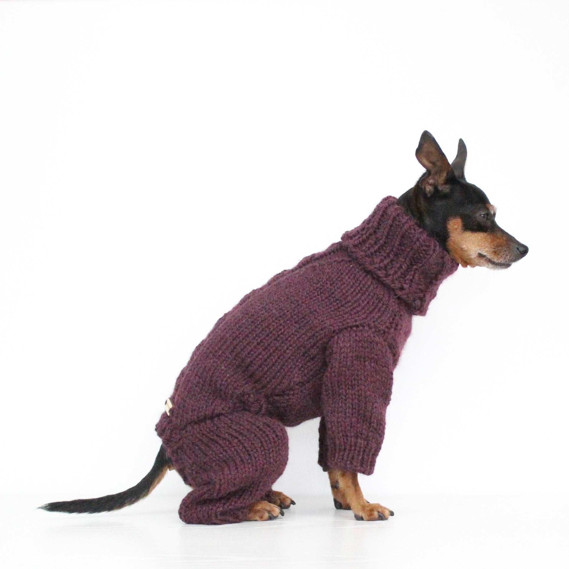 ARCTIC Overall Hand-Knitted Alpaca Wool Turtleneck Sweater for Small Dogs | Custom-Tailored, Made to Measure