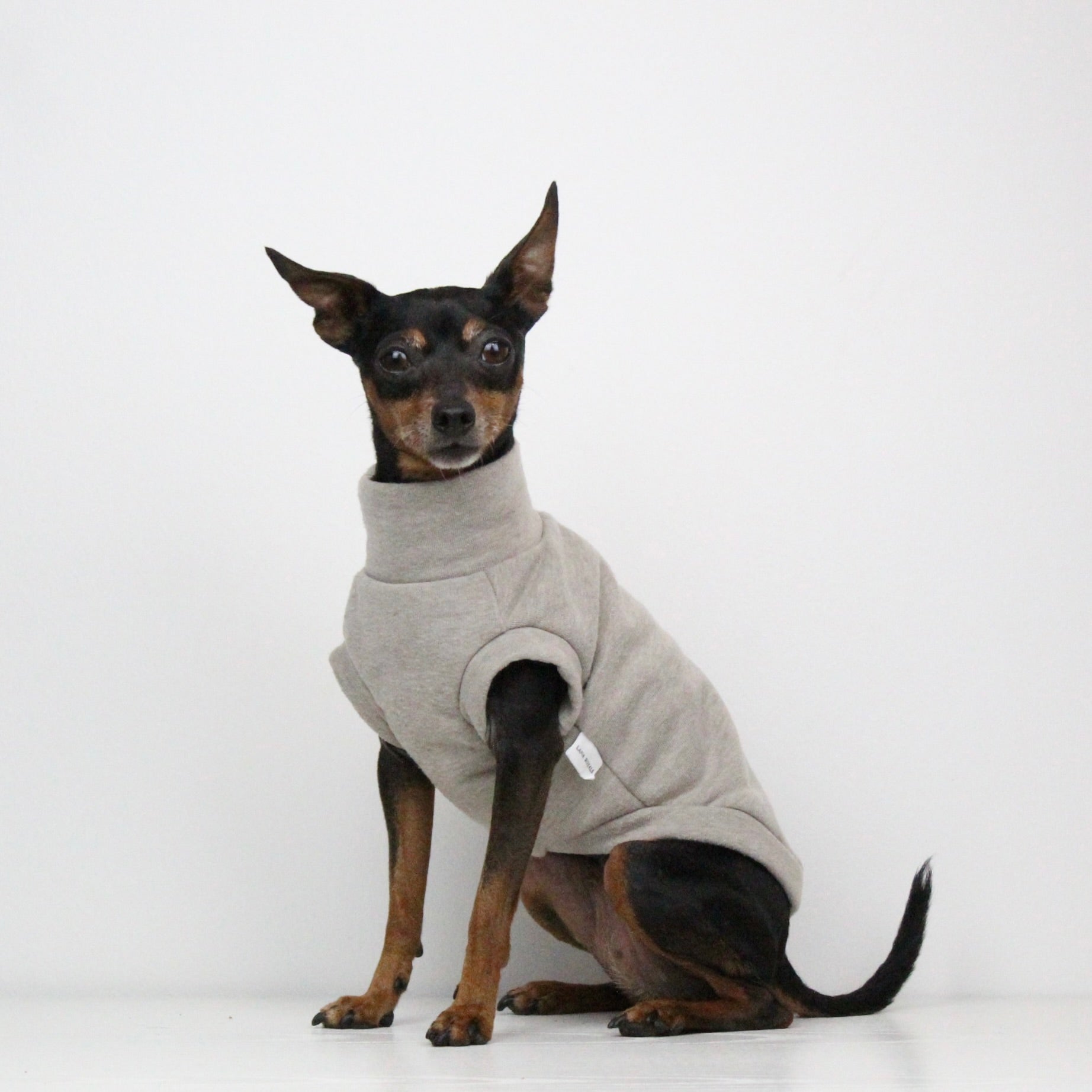 Sweatshirt Sleeveless Tank-Top Vest for Dogs | Custom-Tailored, Made to Measure