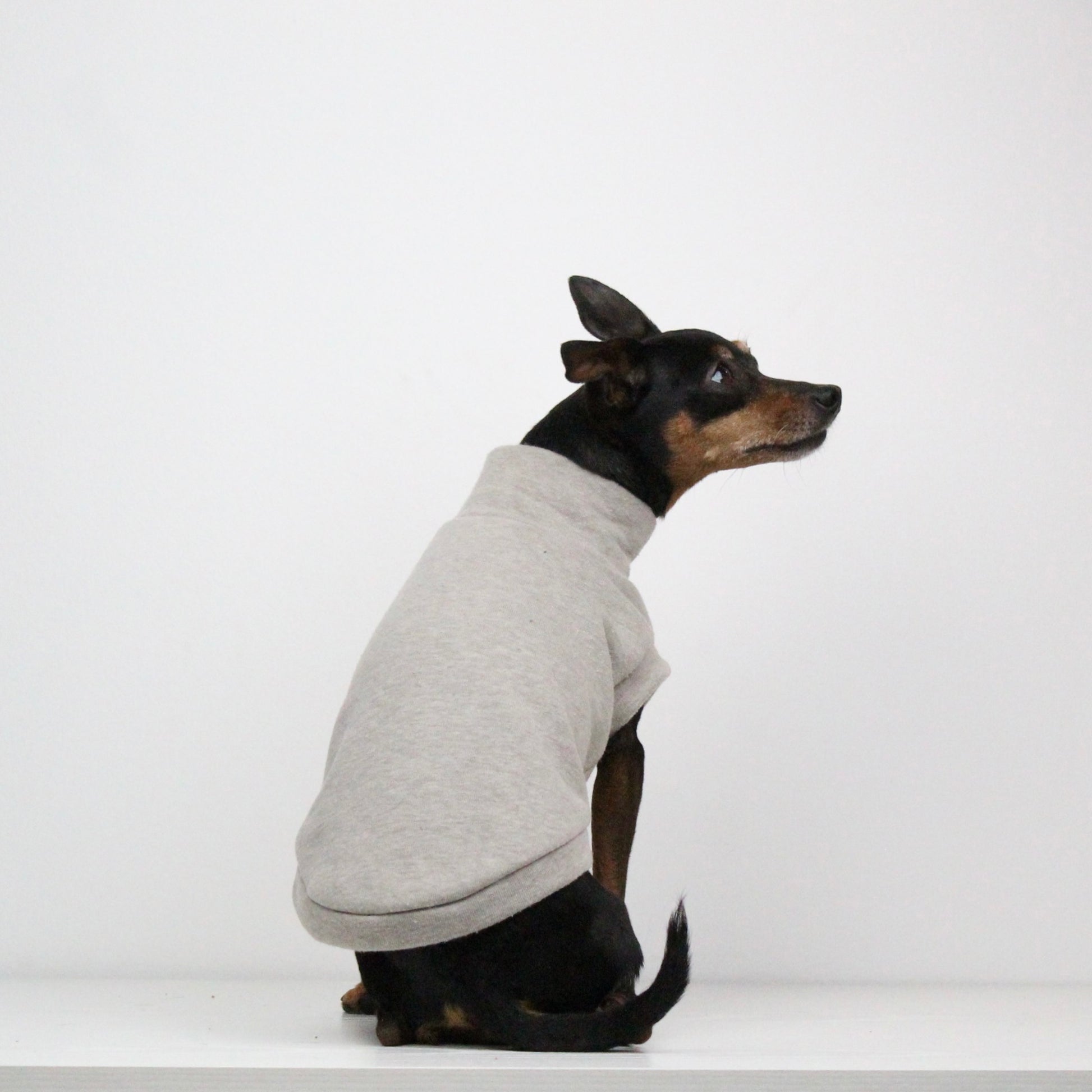 Sweatshirt Sleeveless Tank-Top Vest for Dogs | Custom-Tailored, Made to Measure